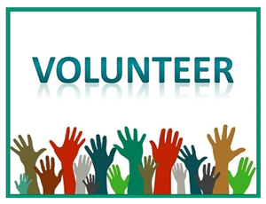 Volunteer